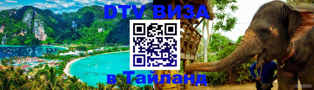 Оформление DTV визы под ключ: стоимость и тарифы, только загранпаспорт - 19.11.2025 